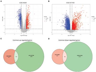 Investigation of shared genes and regulatory mechanisms associated with coronavirus disease 2019 and ischemic stroke